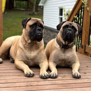 Meet your Posher, Christa